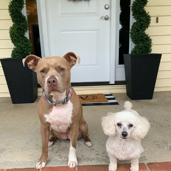 Meet your Posher, Lindsey - Picture 10 of 10